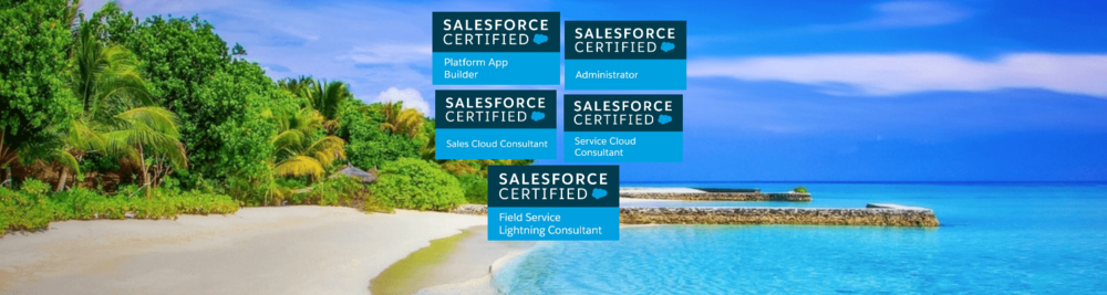 Our Certifications are for salesforce crm Sales Cloud Consultant. Service Cloud Consultant., Platform App Bulider, Field Service Cloud Consultant and Admin 201. Empower yourself and logon to https://rayburnideas.com/.